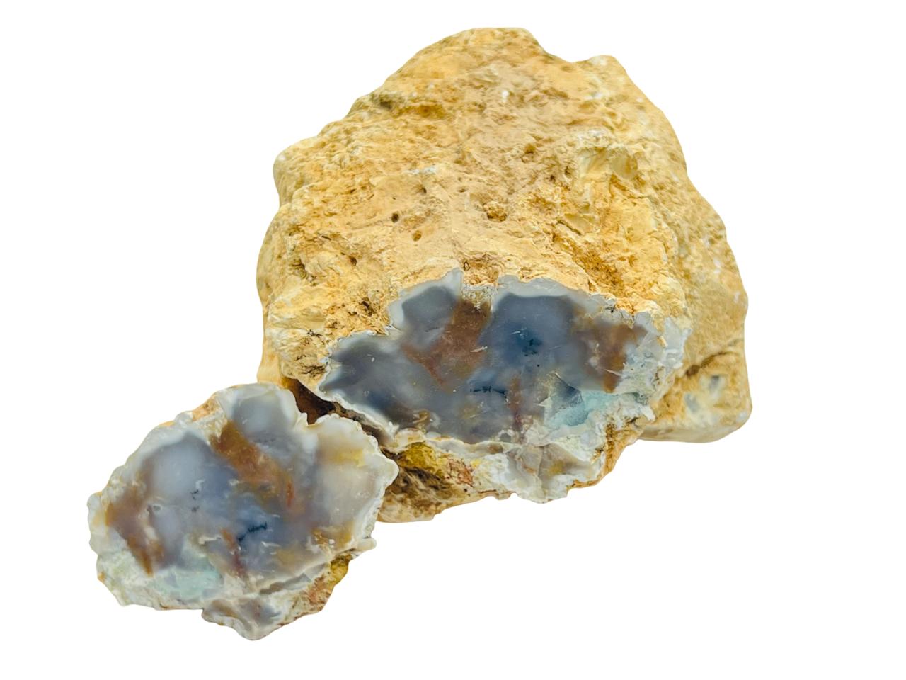 العقيق الشجري السرخسي