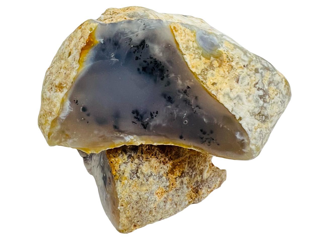 العقيق الشجري السرخسي